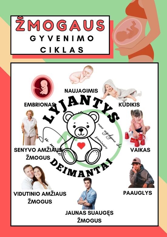 Ugdomieji tentai - Žmogaus gyvenimo ciklas